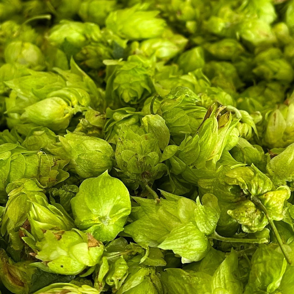 多摩川源流生まれのクラフトビール　ファーイーストIPA 350ml　24本　eギフト