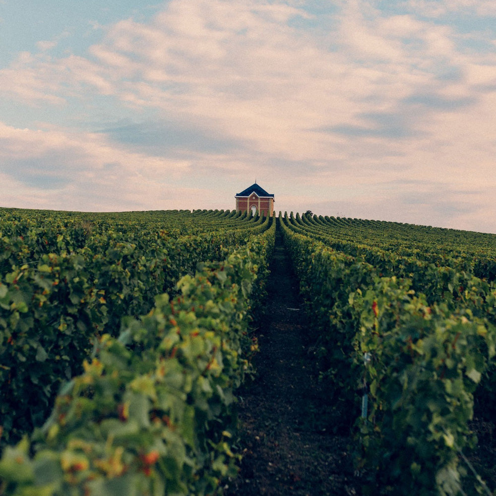 ギフトカード】モエ・エ・シャンドン グラン ヴィンテージ 2016 750ml