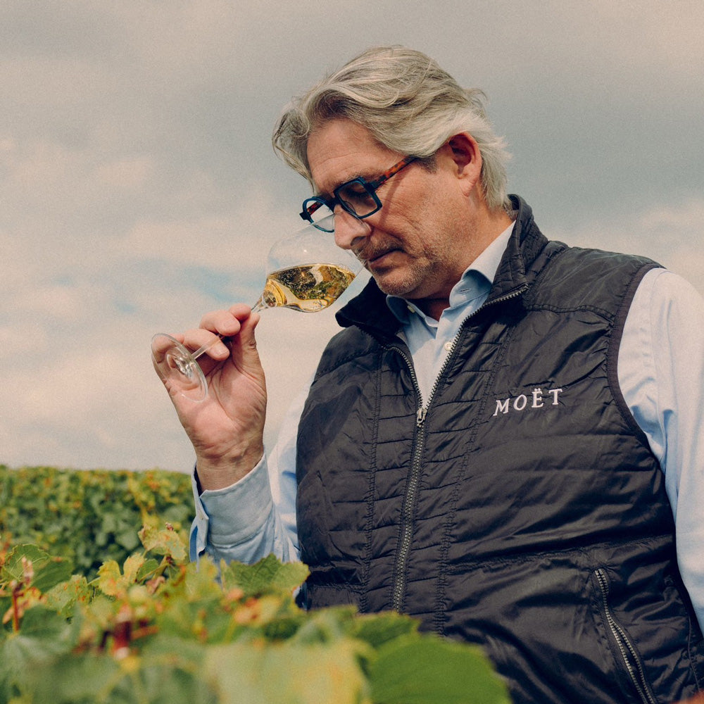 ギフトカード】モエ・エ・シャンドン グラン ヴィンテージ ロゼ 2016