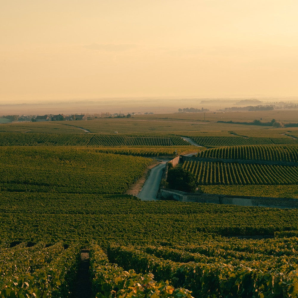 ヴーヴ クリコ ロゼ ヴィンテージ 2015 750ml(2本箱入り)