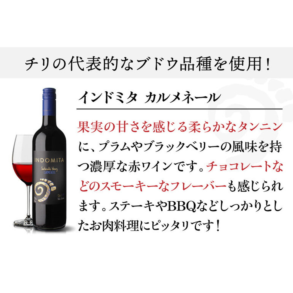 インドミタ バラエタル 4種のワイン12本【クール便】　eギフト