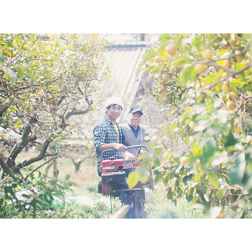 スパークリングレモン酒 ミカドレモン/ MIKADO LEMON Sparkling lemon