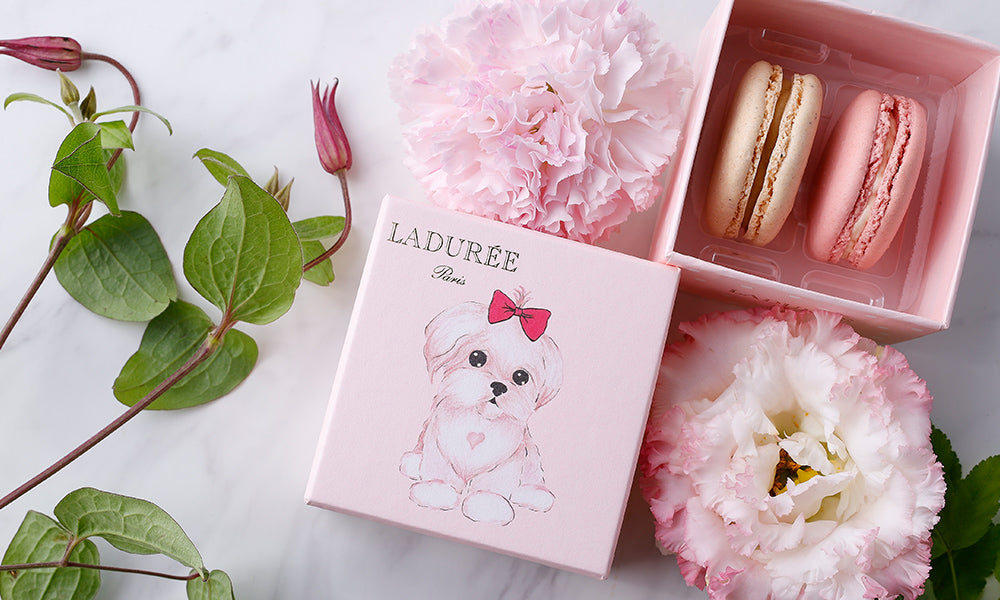 LADUREE（ラデュレ）マカロン
