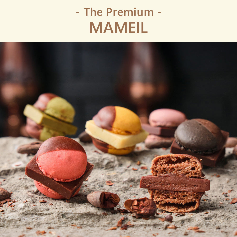 The Premium 選べるMAMEIL A ギフトカード