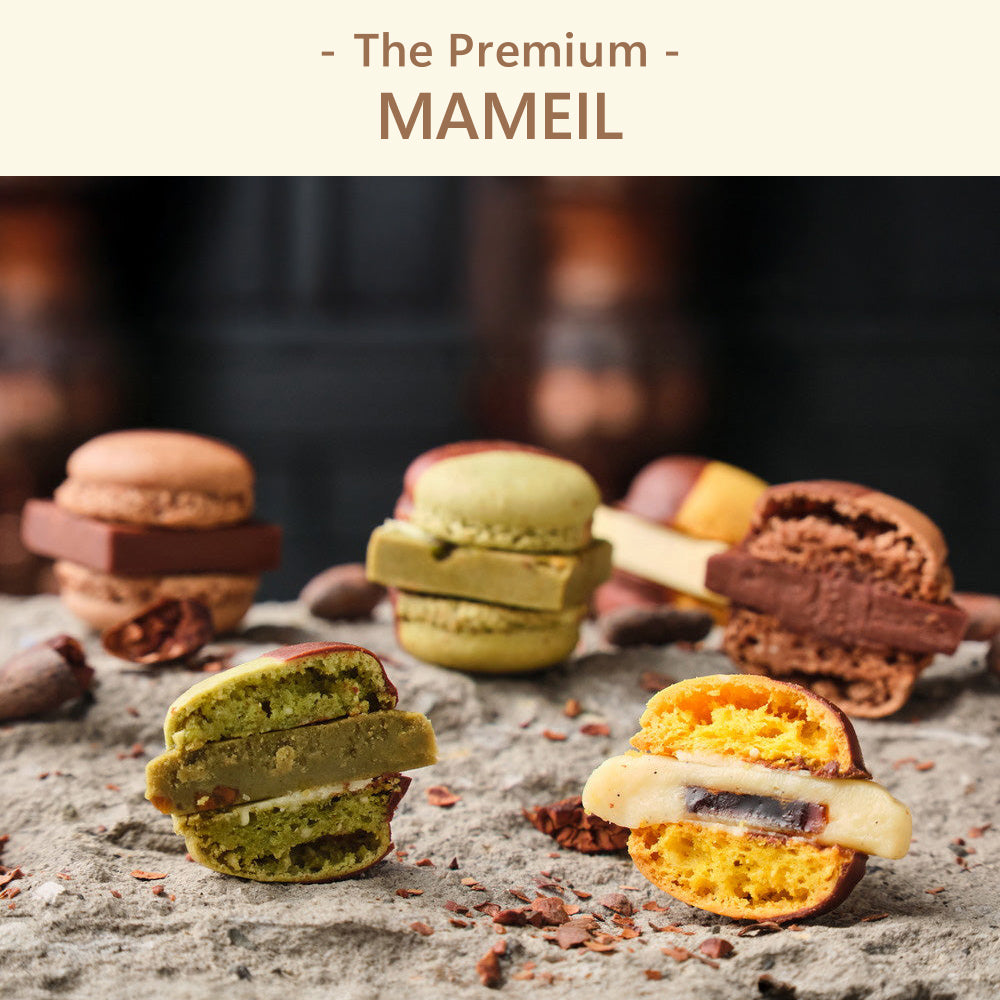 The Premium 選べるMAMEIL B ギフトカード