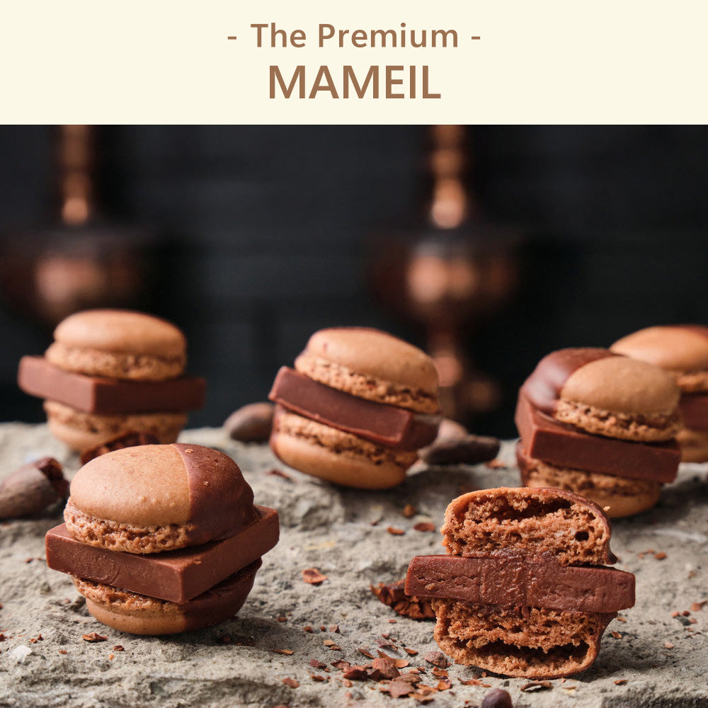 The Premium 選べるMAMEIL C ギフトカード