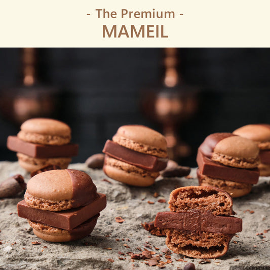 The Premium 選べるMAMEIL C ギフトカード