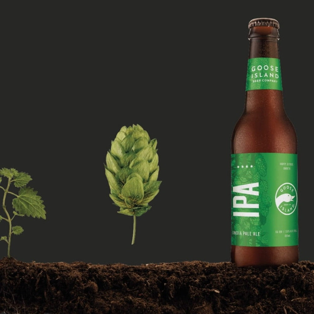 アメリカNo1IPA グースアイランド IPA 2本セット(瓶355ml)　eギフト